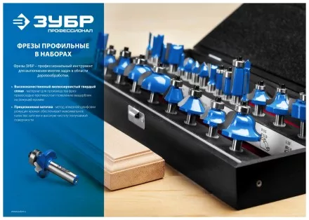 ЗУБР 12 шт, набор профильных фрез по дереву, Профессионал (28796-H12) купить в Надыме