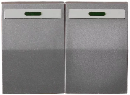 Выключатель СВЕТОЗАР "ЭФФЕКТ" двухклавишный, с эффектом свечения, без вставки и рамки, светло-серый металлик, 10A/~250B SV-54435-SM купить в Надыме