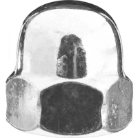 Гайка ЗУБР "МАСТЕР" колпачковая DIN 1587, оцинкованная, M10, 5кг 303680-10