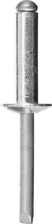 Заклепки PROFIX алюминиевые, 4,0х6мм, 1000шт, STAYER Professional 31205-40-06 31205-40-06 купить в Надыме