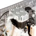 Компрессор масляный Denzel DR5500/300 ременный 58069 купить в Надыме