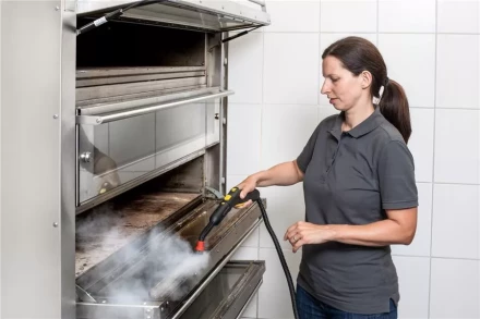 Пароочиститель KARCHER SG 4/4 профи купить в Надыме