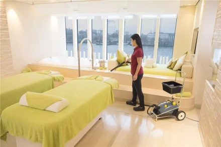 Пароочиститель KARCHER SG 4/4 профи купить в Надыме