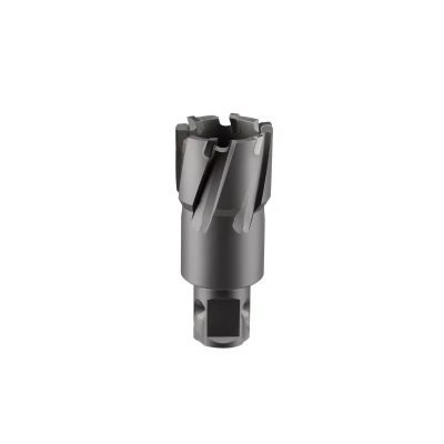 Сверло корончатое твердосплавное ALTECO TCT 22х35 82775