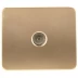 Розетка СВЕТОЗАР "ГАММА" телевизионная, без вставки и рамки, цвет золотой металлик SV-54115-GM купить в Надыме