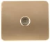 Розетка СВЕТОЗАР "ГАММА" телевизионная, без вставки и рамки, цвет золотой металлик SV-54115-GM купить в Надыме