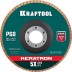 Круги лепестковые керамические торцевые 36598-125-60 купить в Надыме