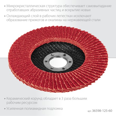 Круги лепестковые керамические торцевые 36598-125-60 купить в Надыме