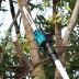 Аккумуляторная 40v XGT цепная пила с телескопической штангой Makita UA004GZ (без АКБ и ЗУ) купить в Надыме