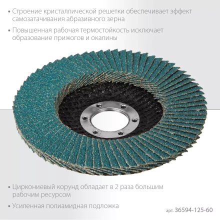 Круги лепестковые циркониевые торцевые 36594-125-60 купить в Надыме