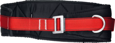 Удерживающая привязь 2 точки крепления серия Без серии 11582 купить в Надыме