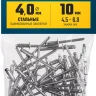 ЗУБР 4.0 x 10 мм, 50 шт, стальные заклепки, Профессионал (313126-40-10) купить в Надыме