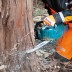 Аккумуляторная цепная пила 40v, шина 40см, регул. без ключа Makita UC016GZ01 (без АКБ и ЗУ) купить в Надыме