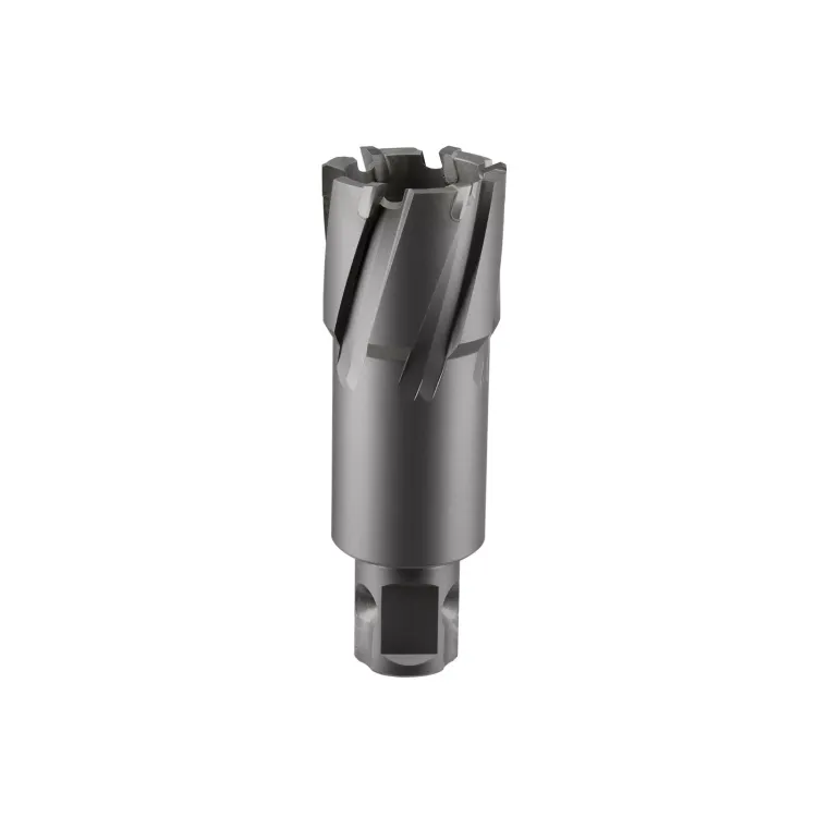 Сверло корончатое твердосплавное ALTECO TCT 14х50 82784 купить в Надыме