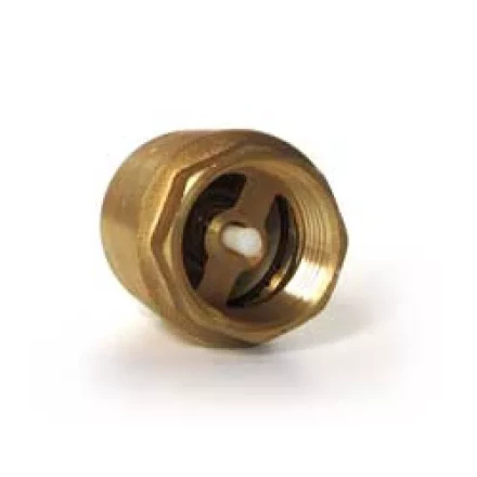 Обратный клапан 2" Aurora купить в Надыме