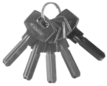 Заготовка ключа ЗУБР "ЭКСПЕРТ" для цилиндровых механизмов, компьютерный тип, 5 шт. 52196_z01 купить в Надыме