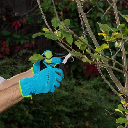 Нож садовый Palisad, 165 мм, складной, окулировочный, пластиковая рукоятка, 790547 купить в Надыме