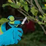 Нож садовый Palisad, 165 мм, складной, окулировочный, пластиковая рукоятка, 790547 купить в Надыме