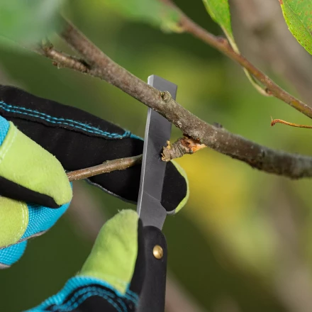 Нож садовый Palisad, 165 мм, складной, копулировочный, пластиковая рукоятка, 790557 купить в Надыме