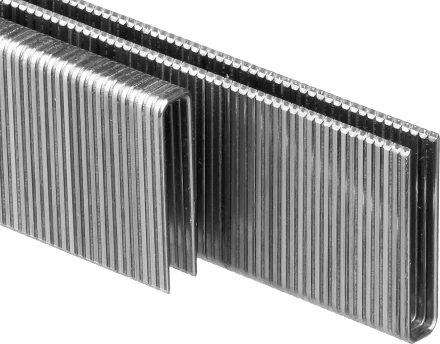 Скобы тип 55, 25 мм, особотвердые, ЗУБР "ПРОФЕССИОНАЛ" 31855-25, 2500 шт 31855-25 купить в Надыме