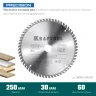 Диск пильный PRECISION, повышенный ресурс 36952-250-30 купить в Надыме