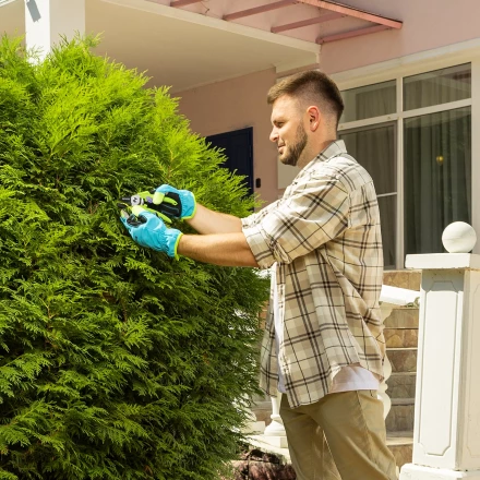 Секатор с наковальней Palisad, 190 мм, пластиковые рукоятки 60454 купить в Надыме