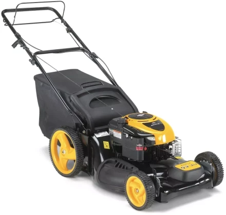 Бензиновая газонокосилка Partner P53-625DW купить в Надыме