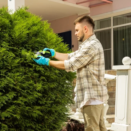 Секатор прямого реза Palisad, 190 мм, пластиковые рукоятки, 60456 купить в Надыме