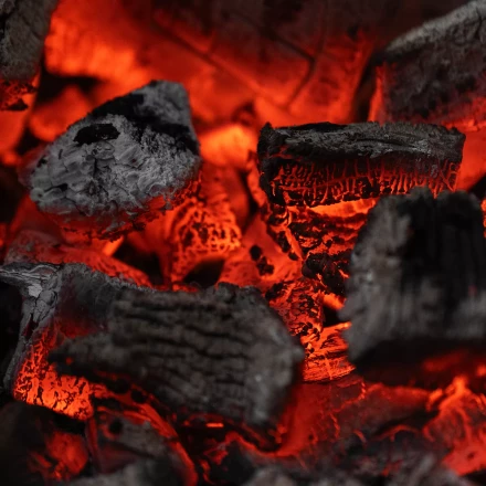 Уголь берёзовый, 5 кг Россия Camping Palisad 69662 купить в Надыме