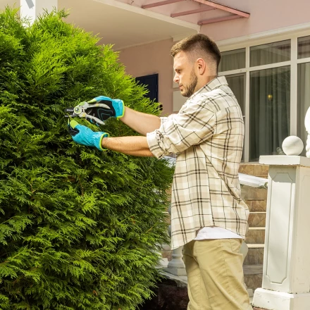 Секатор с наковальней Palisad, 210 мм, пластиковые рукоятки, 60465 купить в Надыме