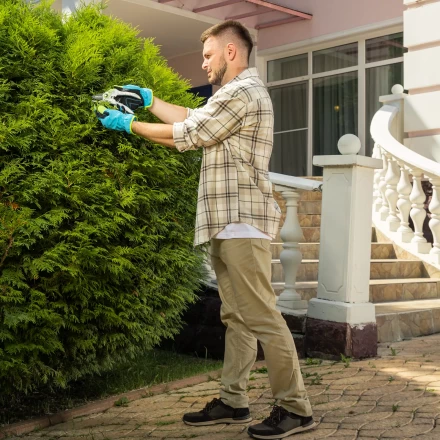 Секатор прямого реза Palisad, 210 мм, пластиковые рукоятки, 60466 купить в Надыме