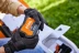 Газонокосилка (аккум) STIHL RMA 239.1 до 500м2 AK-System купить в Надыме