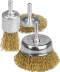 STAYER "PROFESSIONAL". Набор щеток-крацовок для дрели, витая стальная латунированная проволока 0,3мм, диск. 50мм, чаш. 50мм, кистевая 25мм, 3шт 35152-H3_z01 купить в Надыме