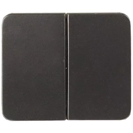 Выключатель СВЕТОЗАР "ГАММА" двухклавишный, без вставки и рамки, цвет темно-серый металлик, 10A/~250B SV-54134-DM купить в Надыме