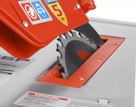 Станок распиловочный ЗПДС-200-800 серия МАСТЕР купить в Надыме