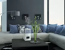 Увлажнитель воздуха ультразвуковой Electrolux EHU-3715D купить в Надыме