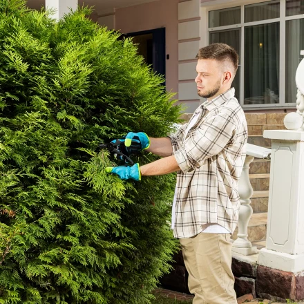 Секатор прямого реза Palisad 215 мм, двухкомпонентные рукоятки, Luxe 604775 купить в Надыме