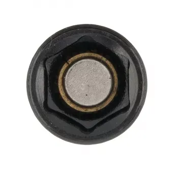 БИТА GROSS С ТОРЦЕВОЙ ГОЛОВКОЙ NUT-DRIVER С МАГНИТОМ, 10ММ, S2 11619 купить в Надыме