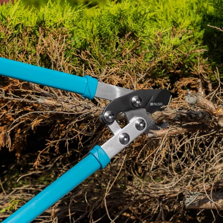 Сучкорез прямого реза Palisad 60597, 750 мм, двухрычажный механизм, двухкомпонентные рукоятки, LUXE купить в Надыме