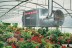 Подвесной газовый теплогенератор BALLU FARM 115 T LPG купить в Надыме