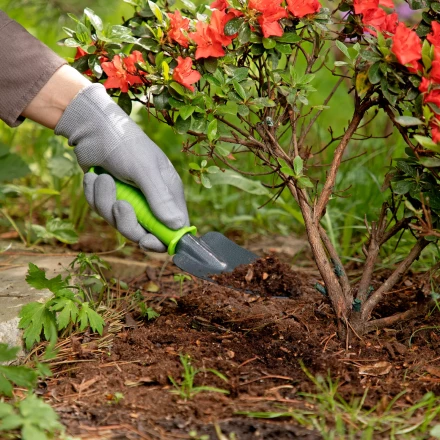 Совок узкий, защитное покрытие, пластиковая рукоятка Palisad 626528 купить в Надыме
