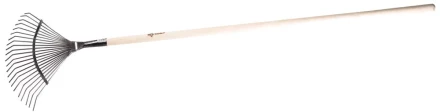 Грабли ЗУБР "ЭКСПЕРТ" веерные из нержавеющей стали, деревянный черенок из ясеня, 16 круглых зубцов, 440х360х1735мм 4-39451_z01 купить в Надыме