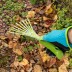 Грабли веерные 9 - зубые Palisad, 130 х 415 мм, стальные, пластиковая рукоятка, Flower Green, 620425 купить в Надыме