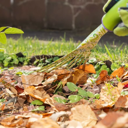 Грабли веерные 9 - зубые Palisad, 130 х 415 мм, стальные, пластиковая рукоятка, Flower Green, 620425 купить в Надыме