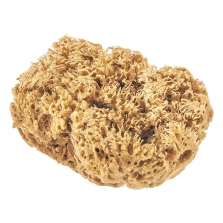 Губка натуральная для декоративных покрытий Matrix 86817 купить в Надыме