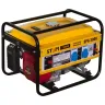 Бензиновый генератор STEM Techno SPG 3000 купить в Надыме
