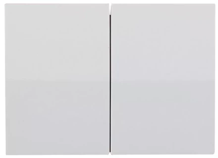 Выключатель СВЕТОЗАР "ЭФФЕКТ" двухклавишный, без вставки и рамки, цвет белый, 10A/~250B SV-54434-W купить в Надыме