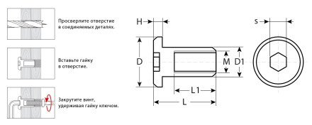ЗУБР M6 x 12 мм, шест. 4 мм, цинк, 5 кг, гайка Эриксона с плоской головкой, Профессионал (303770-4) купить в Надыме