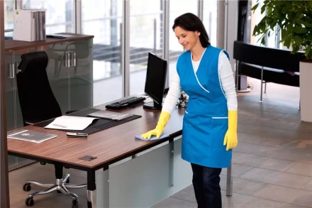 Средство для чистки поверхностей CA 30 C 1 л KARCHER купить в Надыме