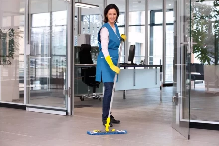 Средство для чистки поверхностей CA 30 C 1 л KARCHER купить в Надыме